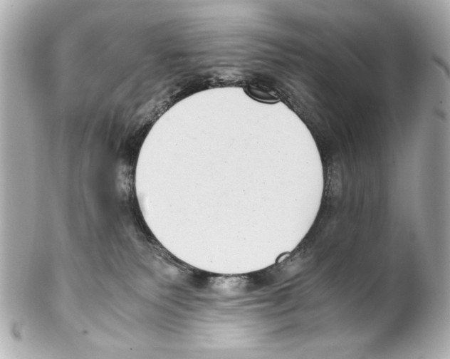 X0000102030135200808151351