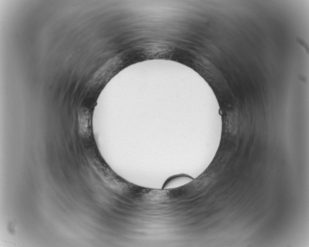 X0000102030138200808151351