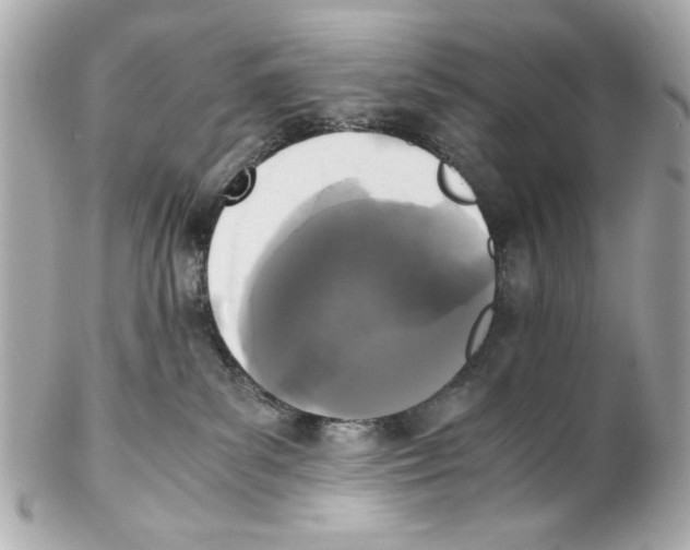 X0000102030139200808151351