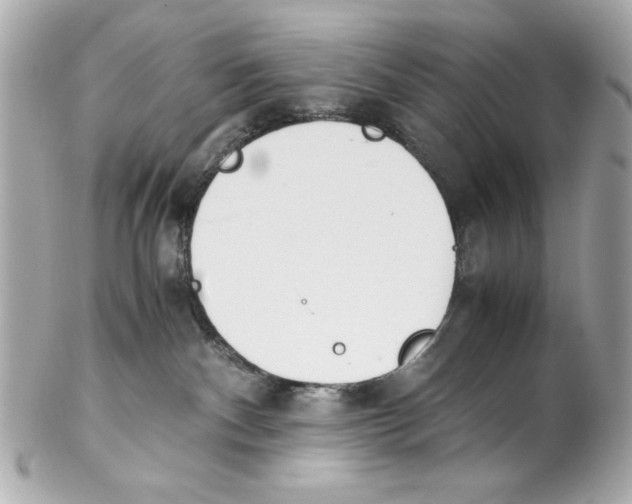 X0000102030140200808151351