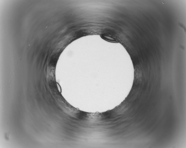 X0000102030141200808151351