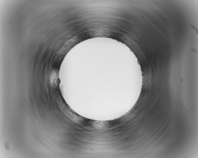 X0000102030142200808151351