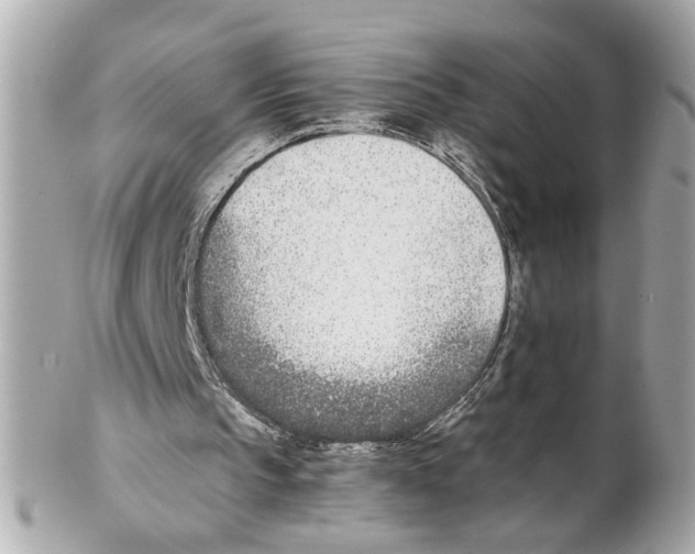 X0000102030145200808151351