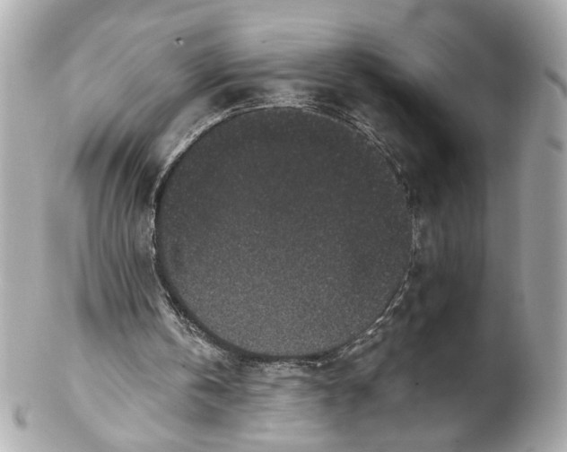 X0000102030146200808151351