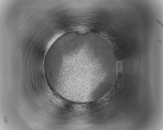 X0000102030147200808151351