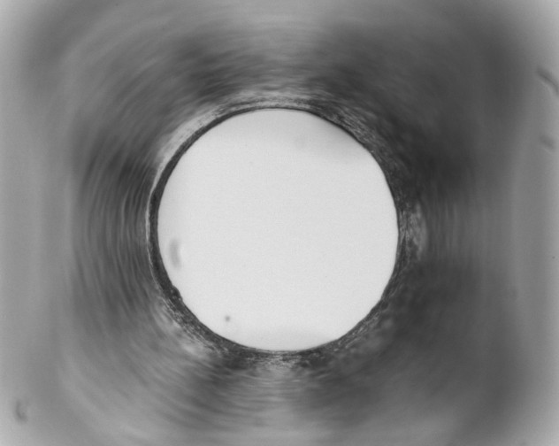 X0000102030148200808151351