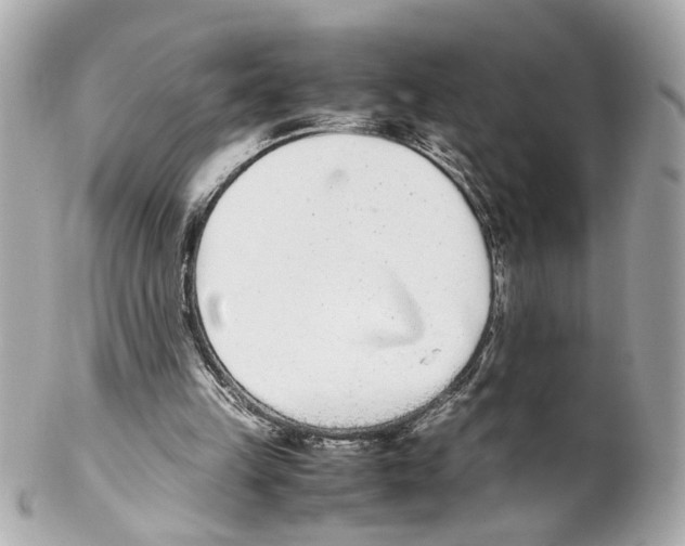 X0000102030149200808151351