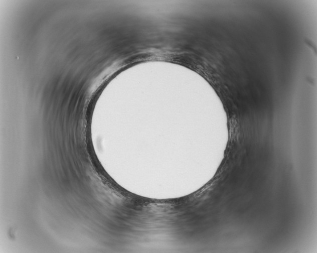 X0000102030150200808151351