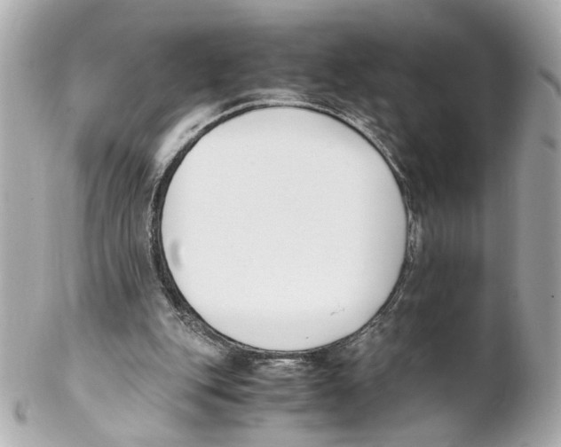 X0000102030151200808151351