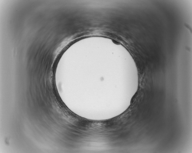 X0000102030152200808151351