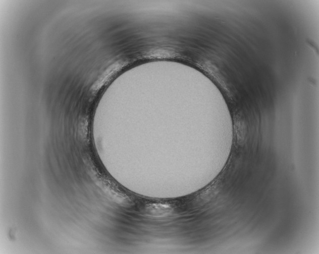 X0000102030159200808151351