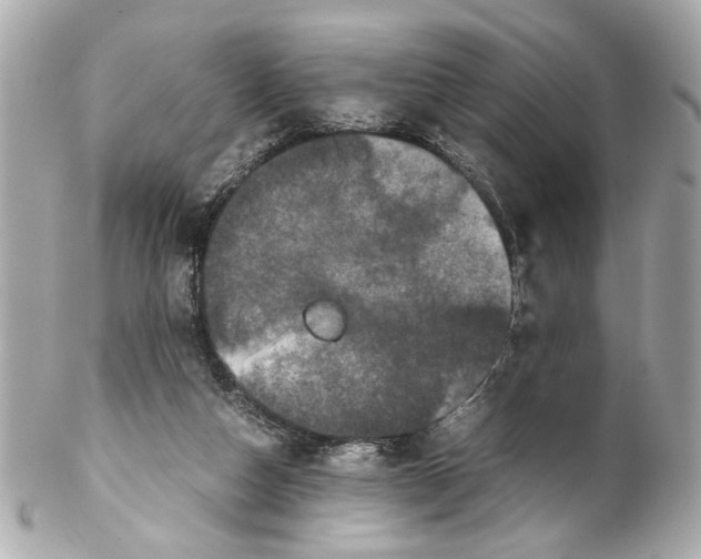 X0000102030162200808151351