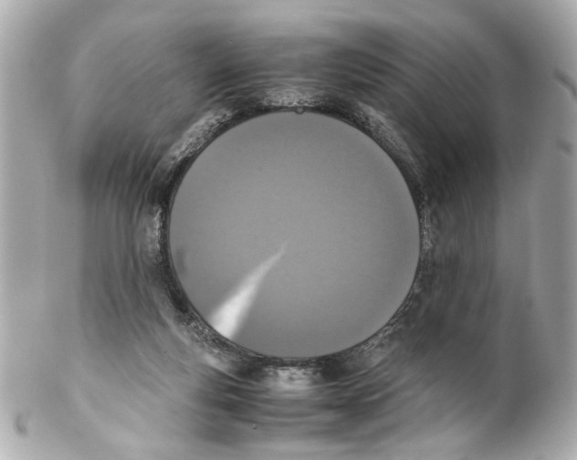 X0000102030163200808151351