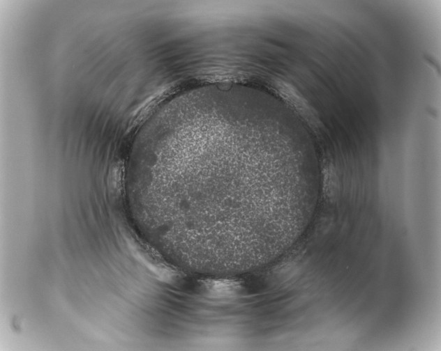 X0000102030165200808151351