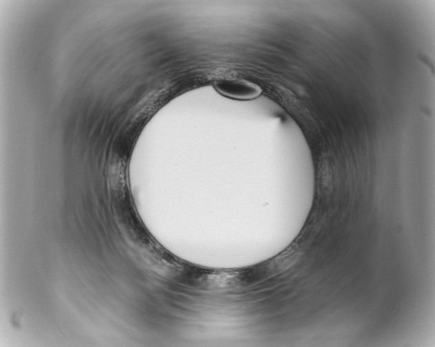 X0000102030172200808151351