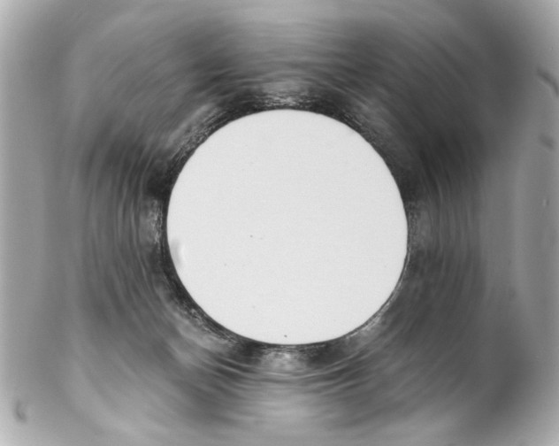 X0000102030174200808151351