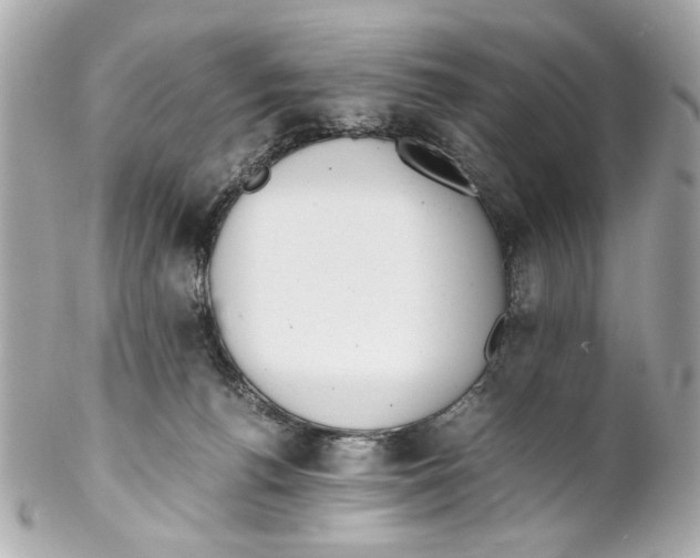 X0000102030176200808151351