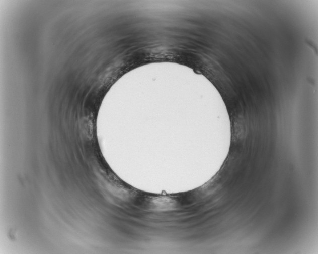 X0000102030183200808151351