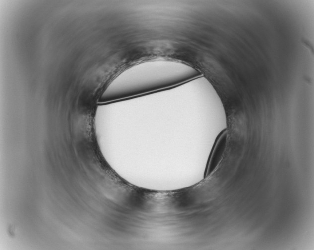 X0000102030184200808151351