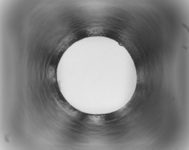 X0000102030187200808151351