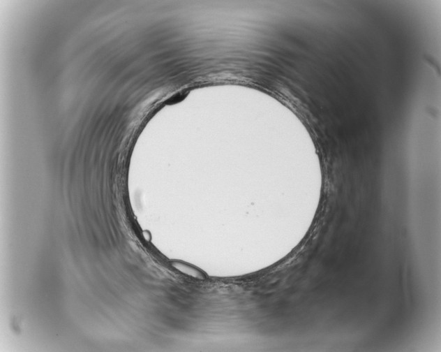 X0000102030193200808151351