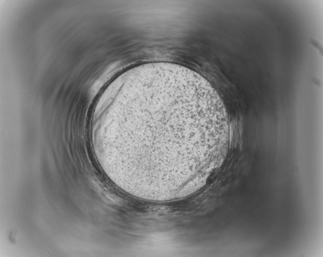 X0000102030195200808151351