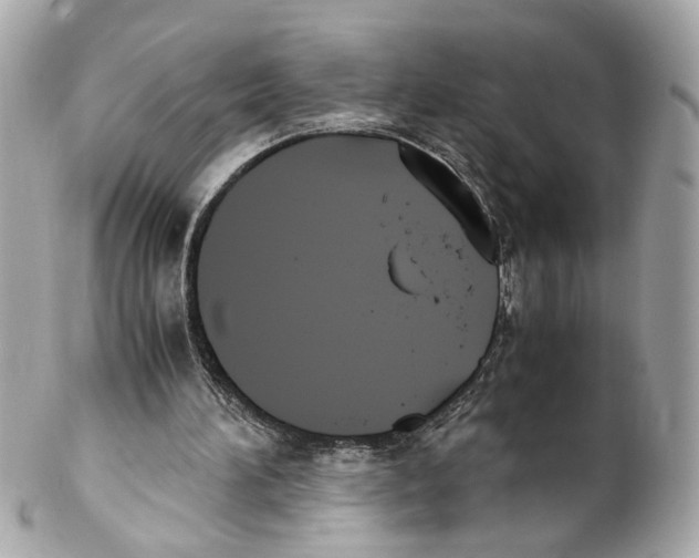 X0000102030196200808151351