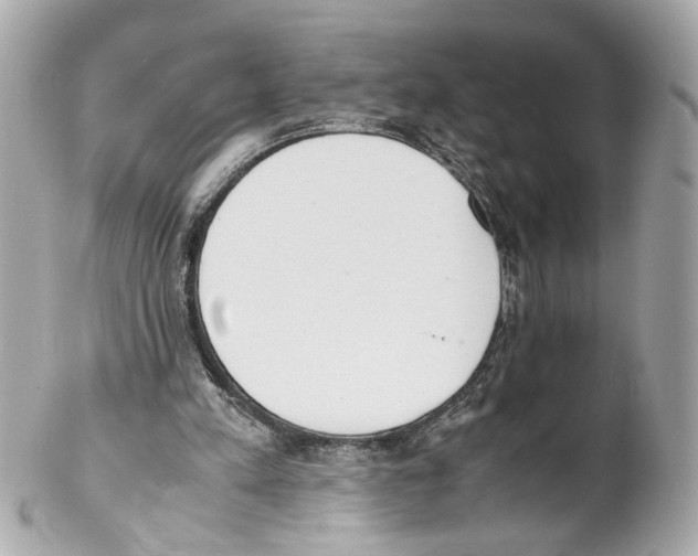 X0000102030197200808151351