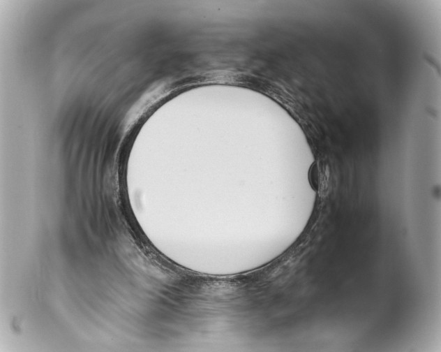 X0000102030198200808151351