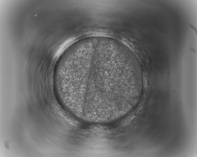 X0000102030199200808151351