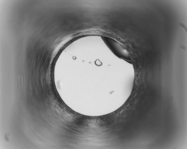 X0000102030200200808151351