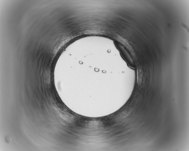 X0000102030204200808151350