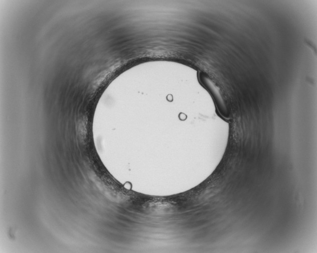 X0000102030208200808151350