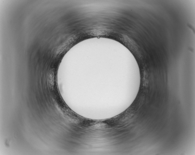 X0000102030210200808151350