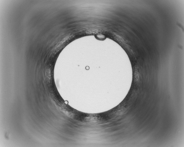 X0000102030211200808151350