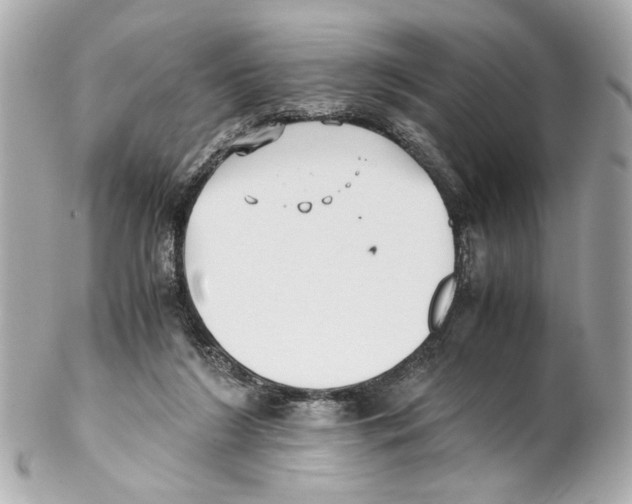 X0000102030212200808151350