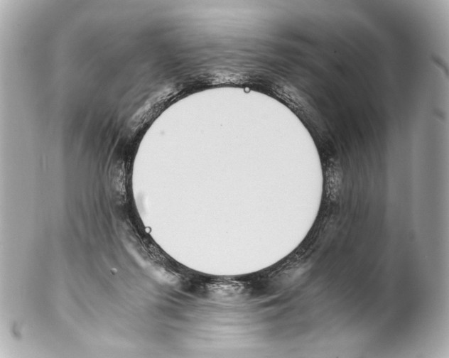 X0000102030215200808151350