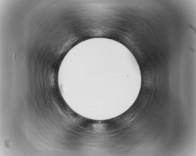 X0000102030216200808151350