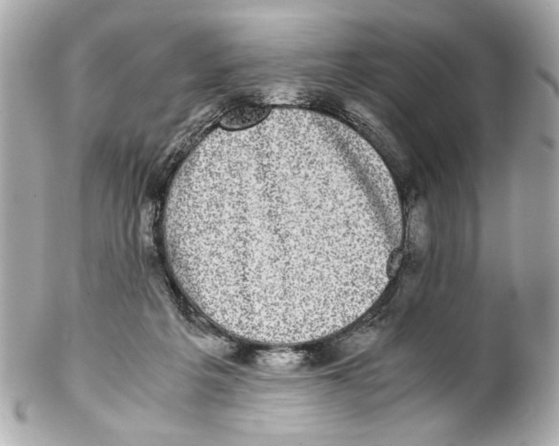 X0000102030217200808151350