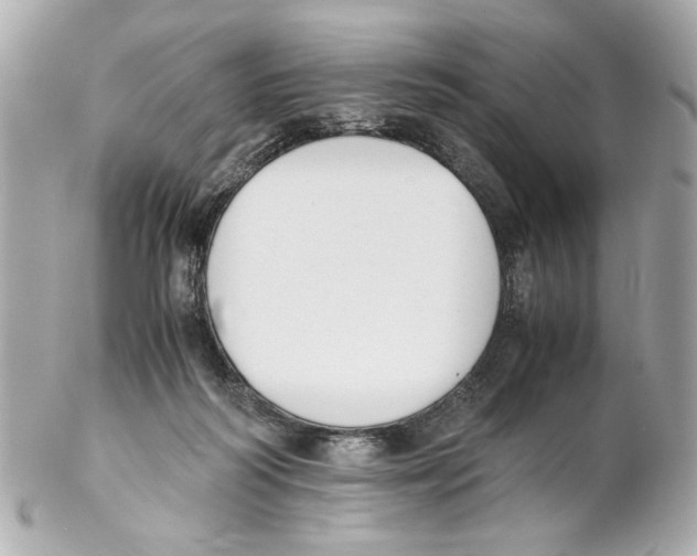 X0000102030218200808151350