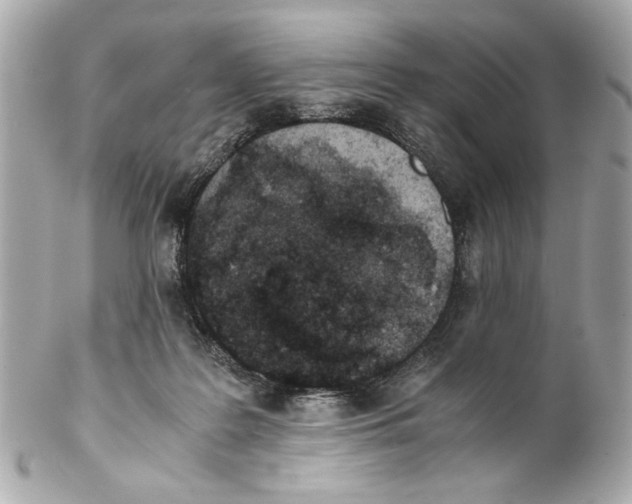 X0000102030219200808151350