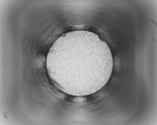 X0000102030225200808151350