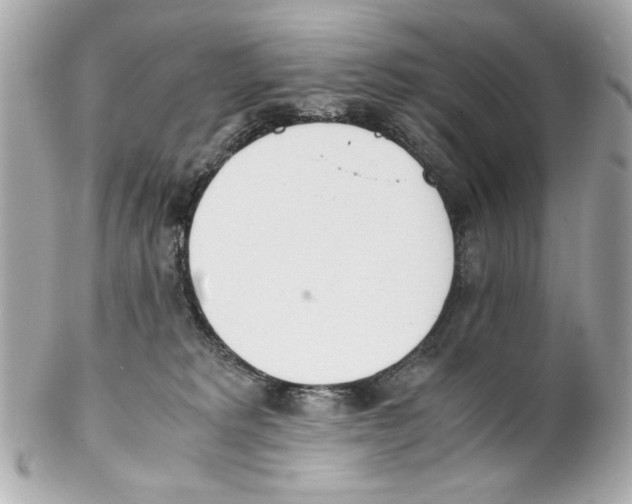 X0000102030229200808151350