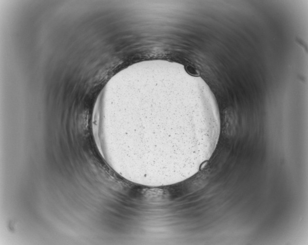 X0000102030230200808151350