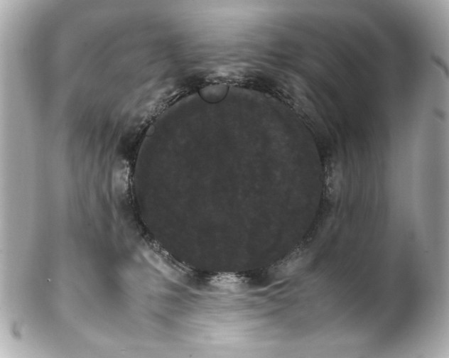 X0000102030231200808151350