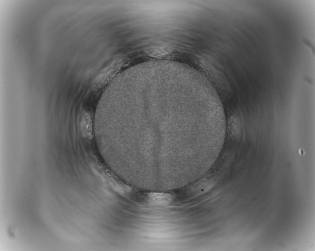 X0000102030234200808151350