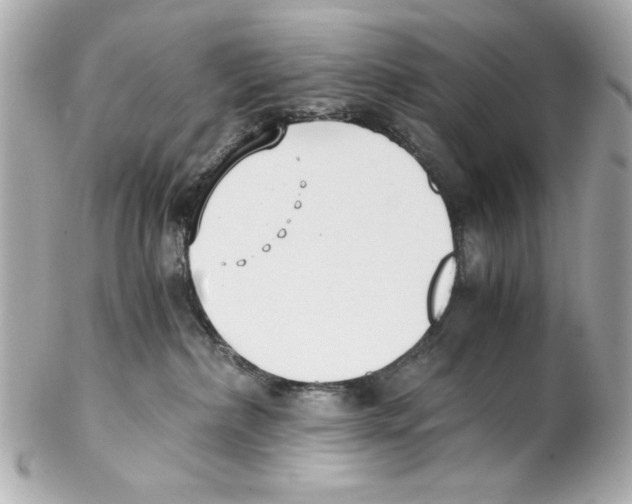 X0000102030236200808151350