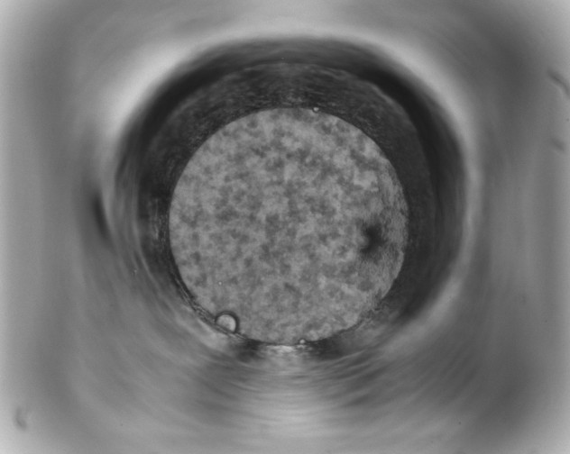 X0000102030239200808151350