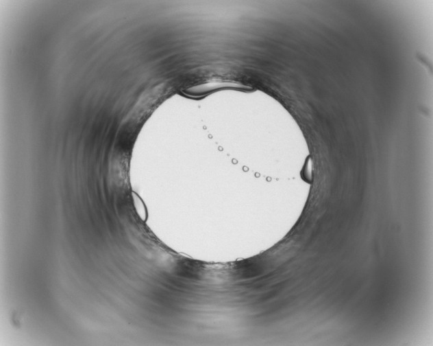 X0000102030240200808151350