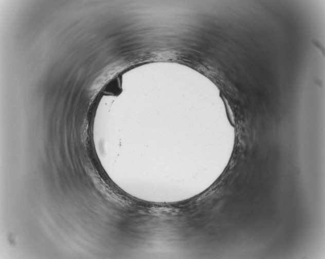 X0000102030242200808151349